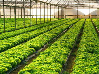 �߲˴���N���½���(sh��)�(y��n)�ҙz�y�(xi��ng)Ŀ���x������